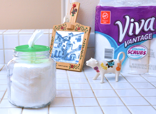 DIY Surface Wipes