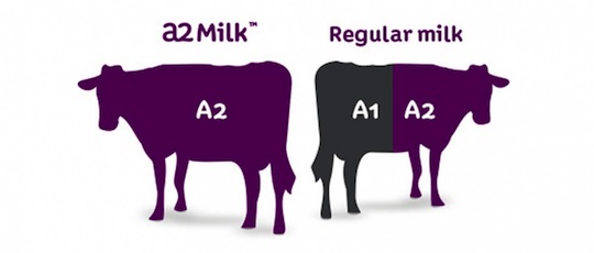 a2 milk facts