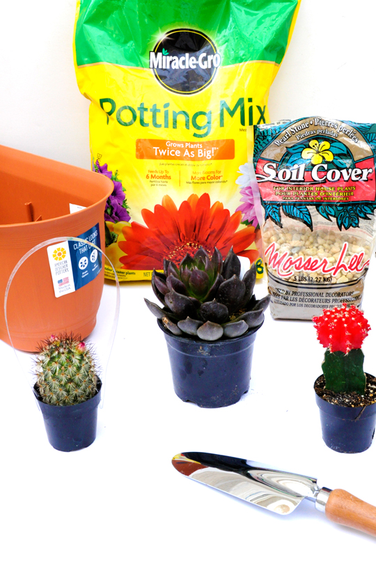 DIY Desert Garden Supplies