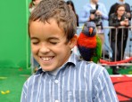 The Angry Birds Movie Premiere