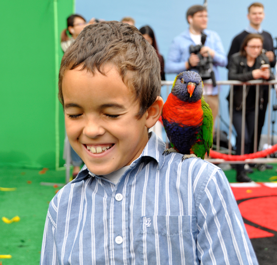 The Angry Birds Movie Premiere