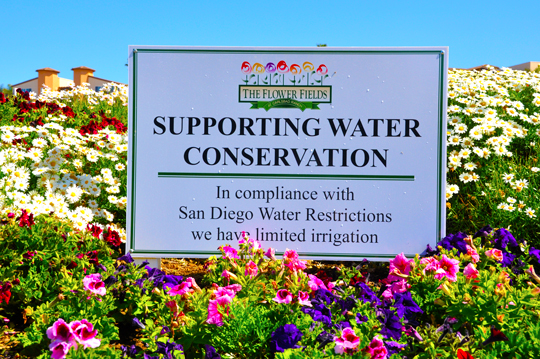 Water Conservation The Flower Fields