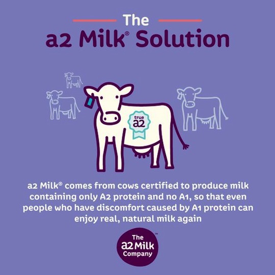 a2 Milk Infographic