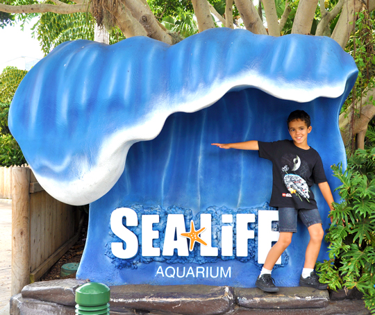 SEA LIFE Aquarium at LEGOLAND