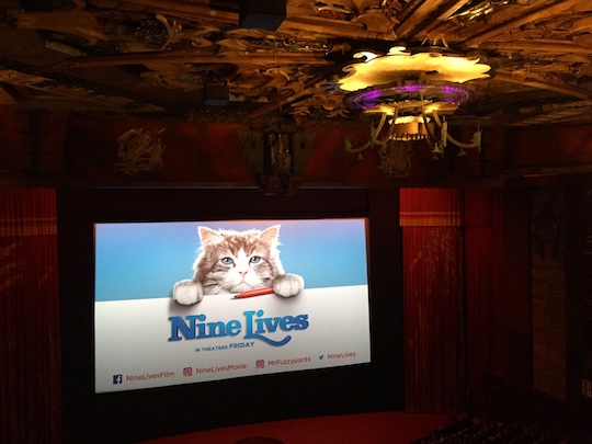 TCL Chinese Theatre Los Angeles - Nine Lives