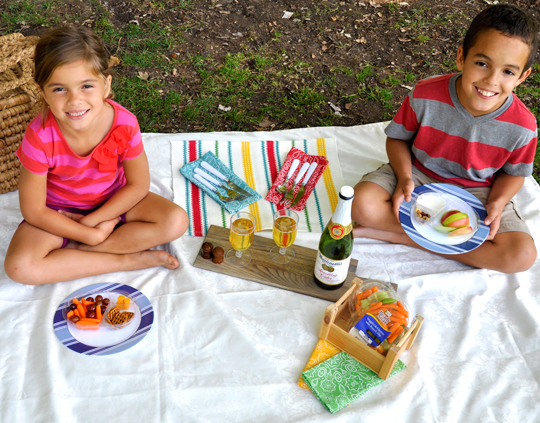 Kids Picnic - Back to School Lunch Ideas