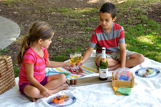Picnic For Kids - Back to School Lunch Ideas