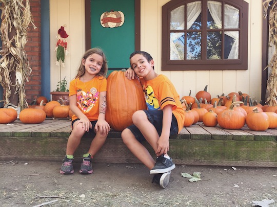 Fall Pumpkin Patch Photos