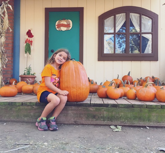 Fall Pumpkin Patch Photos