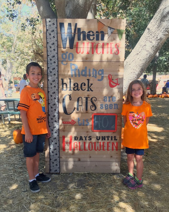 Halloween Countdown - Pumpkin Patch Photos