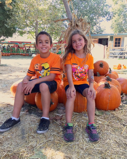 Pumpkin Patch Photos