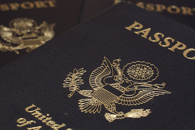 Passport - Disney Cruise