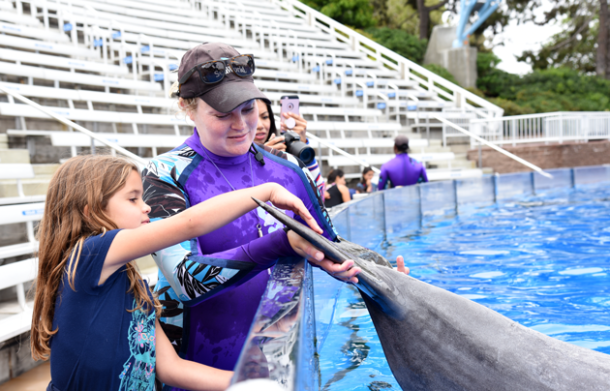 7 Vip Experiences At Seaworld San Diego Rockin Mama™