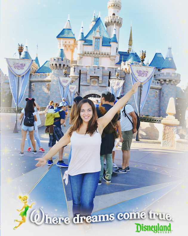 Castle at Disneyland