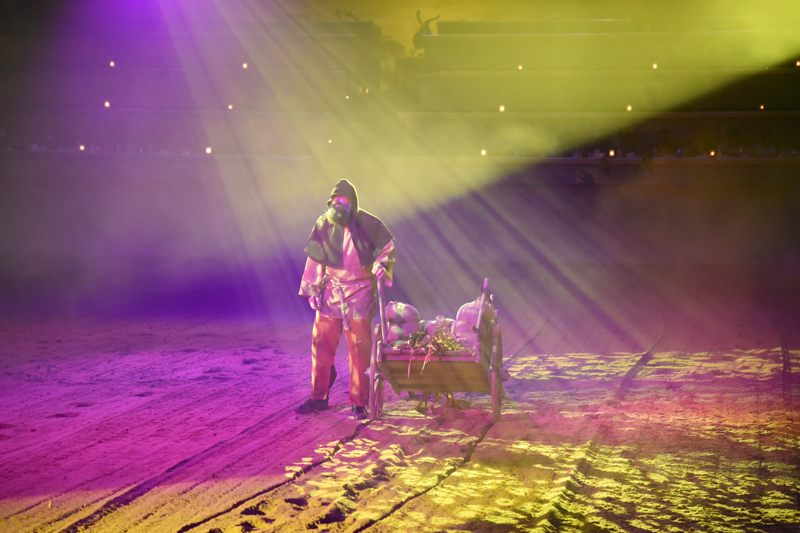 7 Things Kids Will Learn at Medieval Times Educational Matinee Rockin