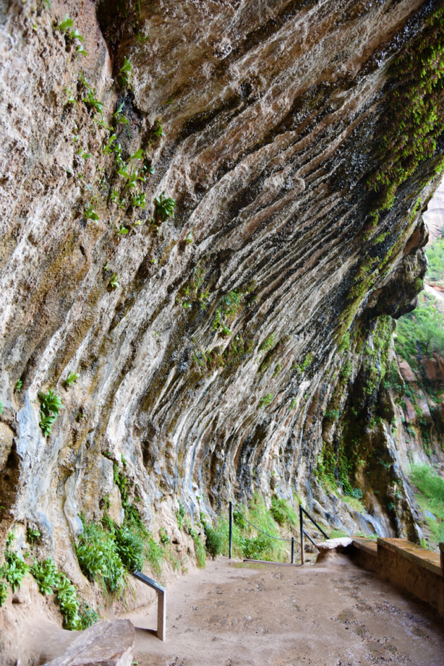 Weeping Rock