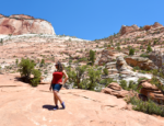 Zion Canyon Overlook