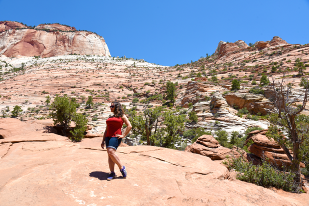 Zion Canyon Overlook