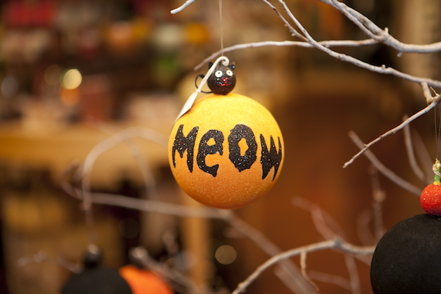 Halloween Ornament