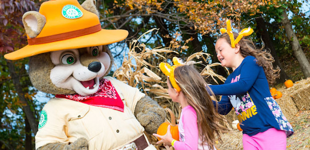 Howl O Ween Deal at Great Wolf Lodge