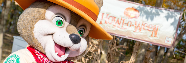 Wiley in the Pumpkin Patch at Great Wolf Lodge