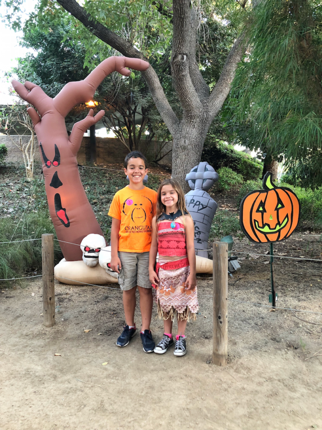 Boo at the Santa Ana Zoo