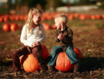 Country Pumpkin Patch Newport Dunes