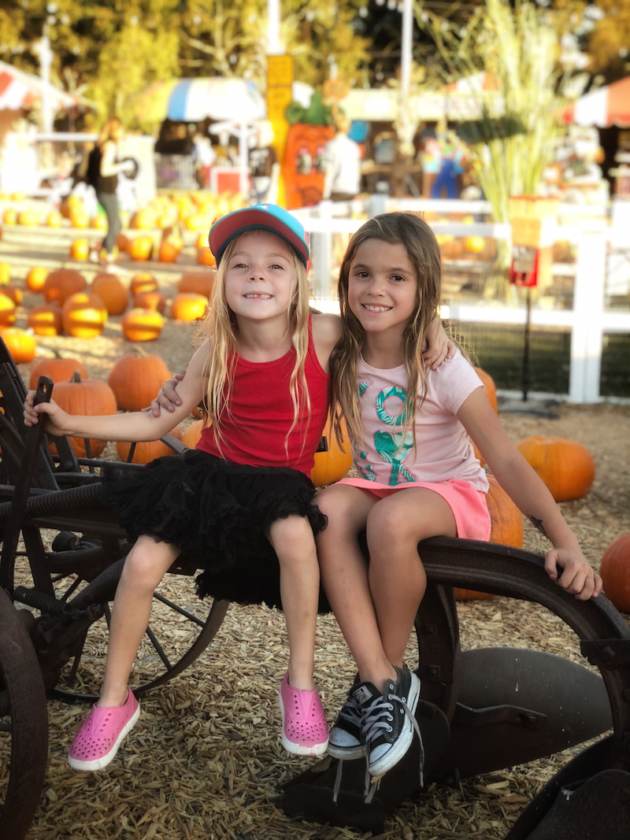 7 Ways to Celebrate Fall at Pumpkin City's Pumpkin Farm - Rockin Mama™
