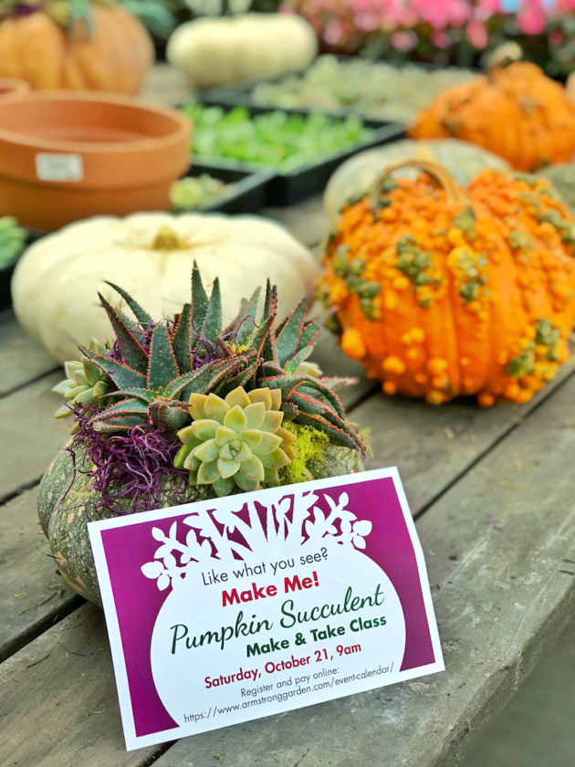 Make and Take Pumpkin Succulent Planter