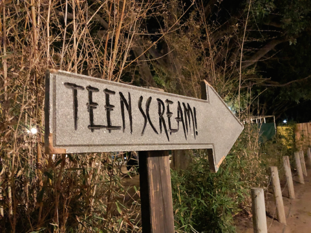 Teen Scream