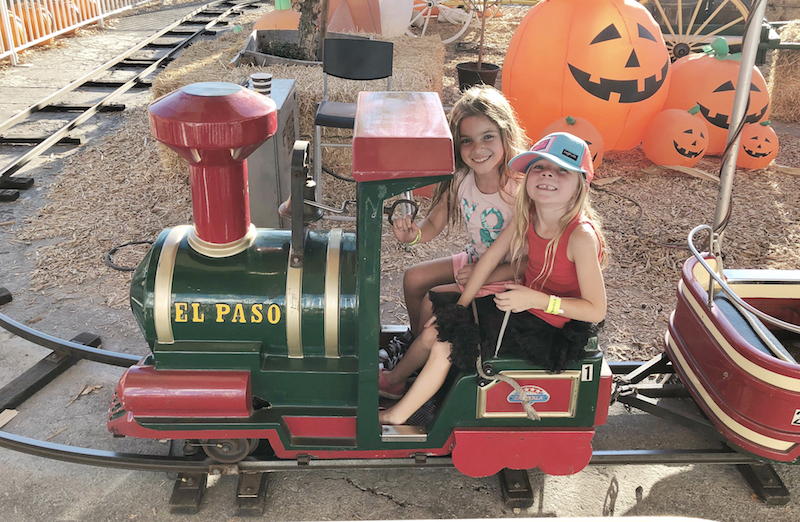 7 Ways to Celebrate Fall at Pumpkin City's Pumpkin Farm Rockin Mama™