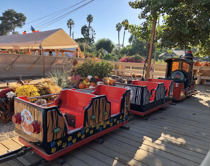 5 Things to Do at Zoomars With Kids Rockin Mama™