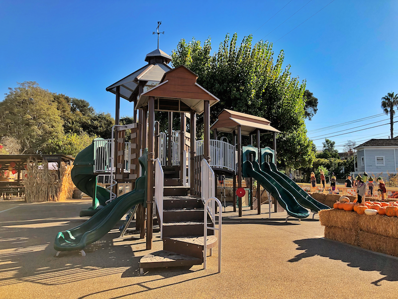 5 Things to Do at Zoomars With Kids Rockin Mama™