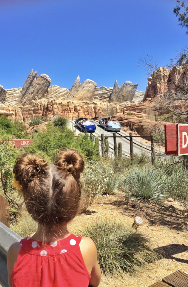 Radiator Springs Racers