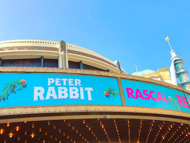 Peter Rabbit at the Grove