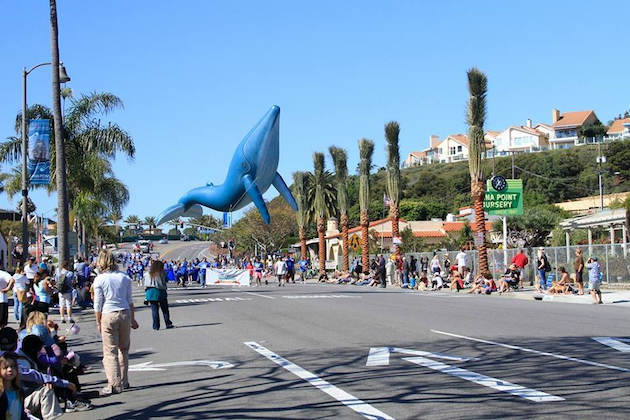 Festival of Whales Parade