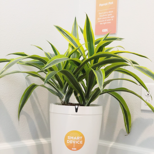 Smart Plant