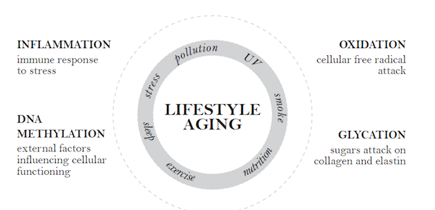 Lifestyle Aging