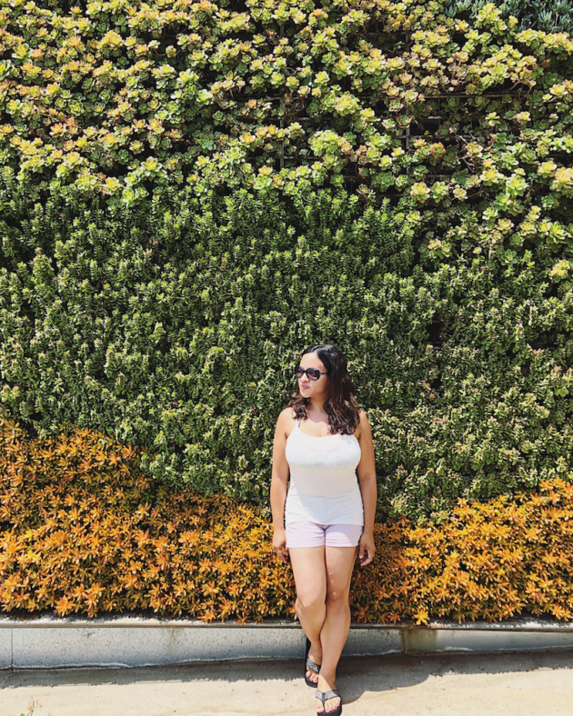 Living Wall at Springhill Suites Oceanside