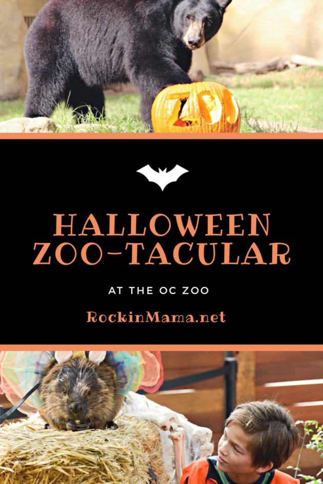 OC Zoo Halloween Zoo-Tacular