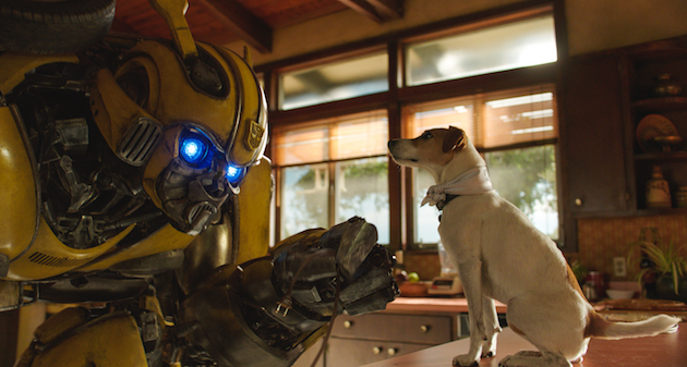 Bumblebee and Dog