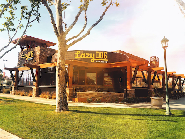 Lazy Dog Restaurant