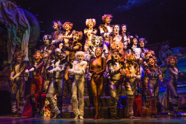 The Company of CATS on Broadway