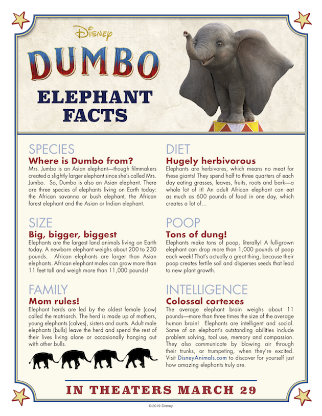 Dumbo Elephant Facts copy