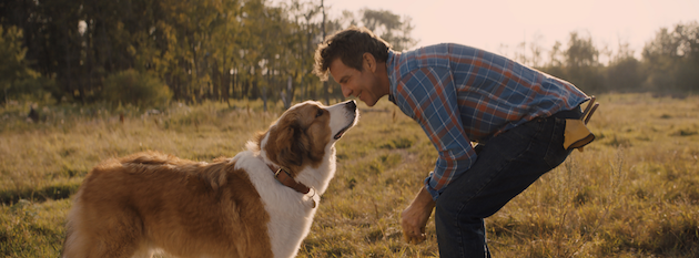 Dennis Quaid A Dogs Journey