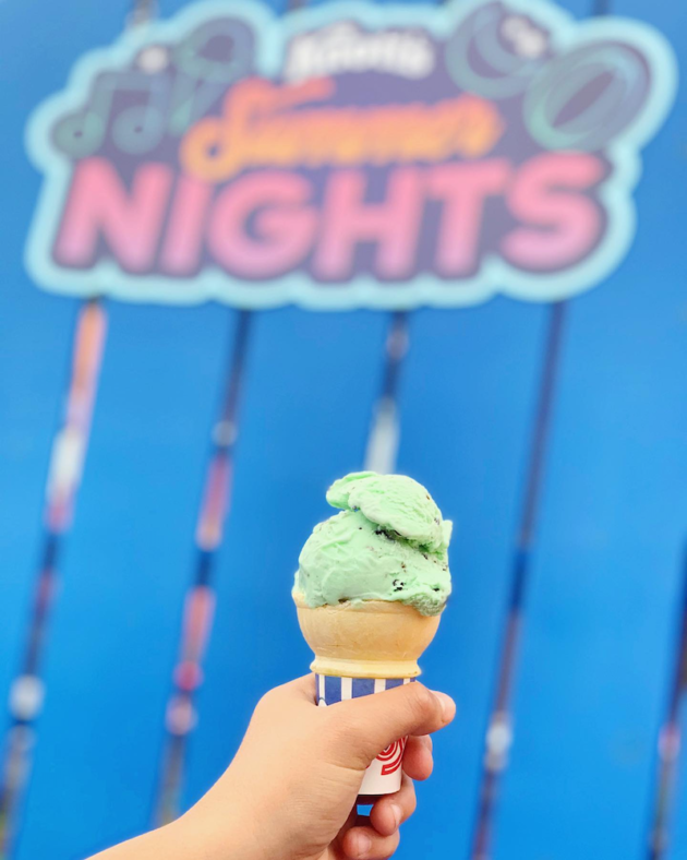 Mint Chocolate Chip Ice Cream Cone