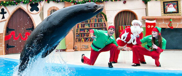 Clyde and Seamores Christmas Special SeaWorld