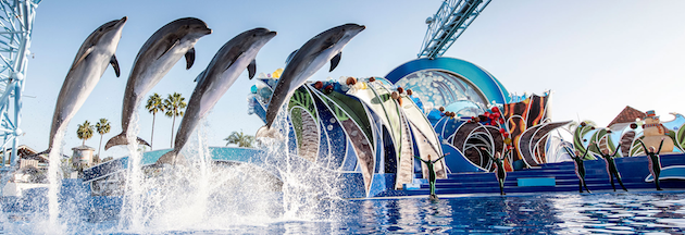 Dolphin Island Christmas at SeaWorld