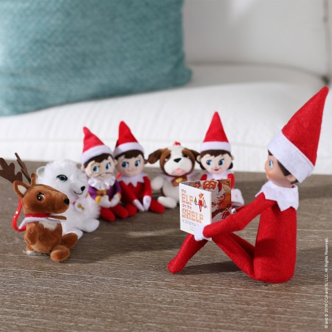 Elf Pets: A Fox Cubs Christmas Tale - Rockin Mama™
