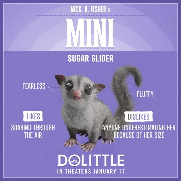 Dolittle Mini